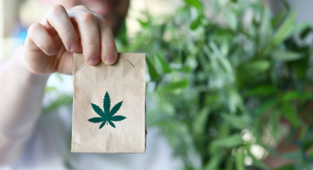 marijuana leaves and a hand holding a small brown bag with a marijuana leaf on it